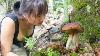 5 Days Solo Bushcraft Emergency Shelter Under A Big Rock Picking Wild Mushrooms And Cooking P1